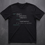 Ship • Python