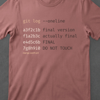 Final Version • Version Control